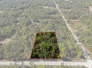 0 Norway St, Webster, FL 33597