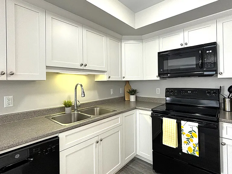 155 Kedgwick Dr — Photo 3