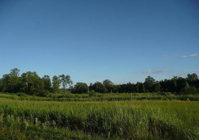 1st image of 0 Tiger Lily Ln