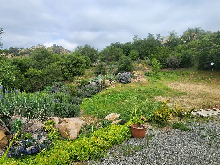 12410 Mirar De Valle — Photo 24