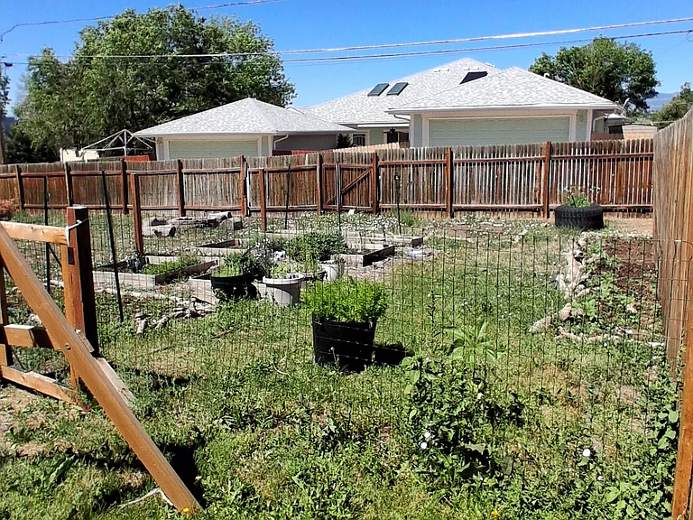 Fully fenced in garden area. Mountain views from the back corner of the yard