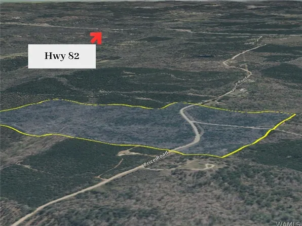 0 Price Rd, Reform, AL 35481