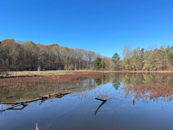 0 Ruffs Rd, Carlton, GA 30627