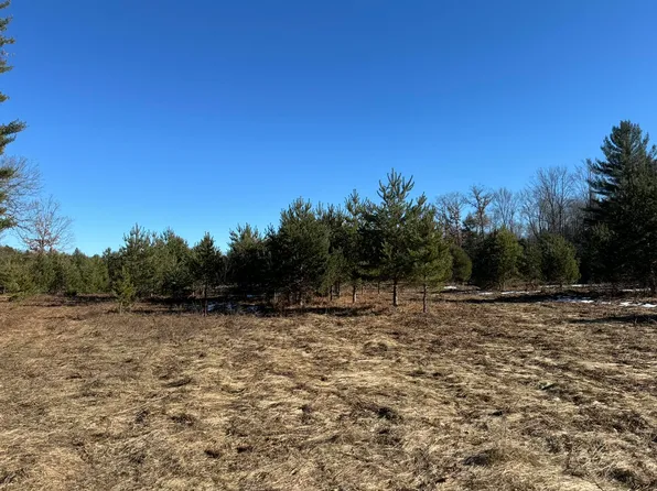 PARCEL Coates Hwy #B, Harrietta, MI 49638