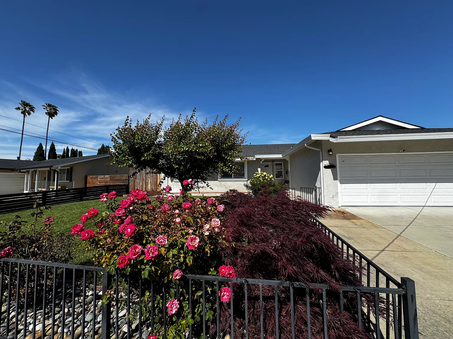 36410 Ruschin Dr photo 1
