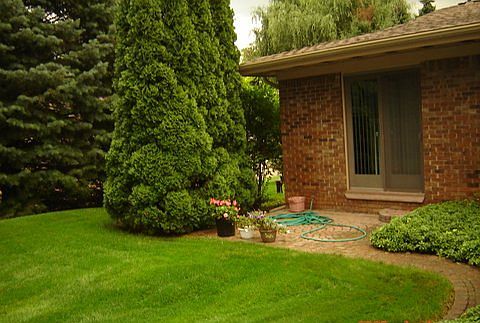 Rear patio at master bedroom