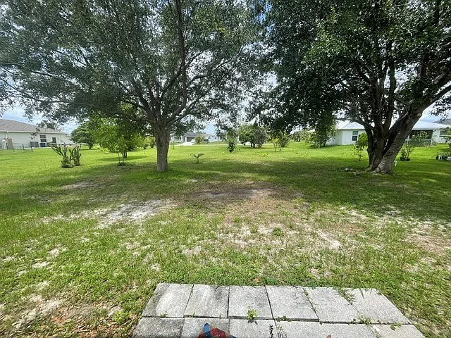 434 Back Yard_06122026