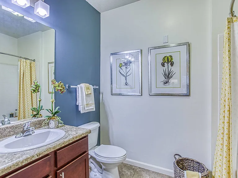 The Links at Pebble Creek Apartments — Photo 16