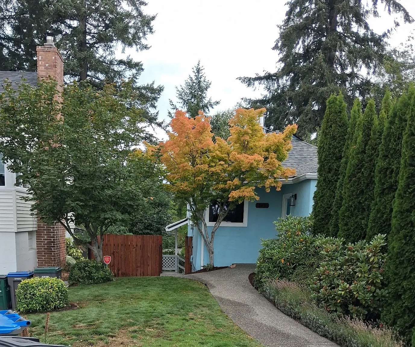 3 bed, 1168 sqft, $2,550 — Photo 3
