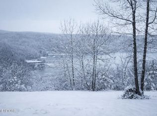 140 Quail Hollow Cv, Spring City, TN 37381