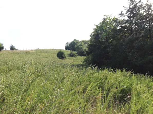 1032 Miller Rd, Falmouth, KY 41040