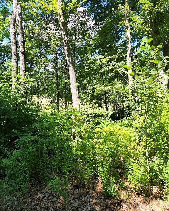 2nd image of 6B Stowell Rd
