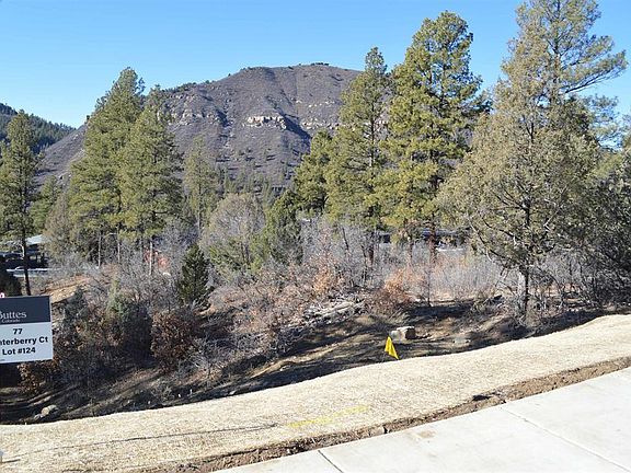 5th image of 77 Winterberry Ct (Lot 124)