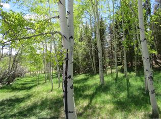 199 Hidden Valley Dr, Florissant, CO 80816