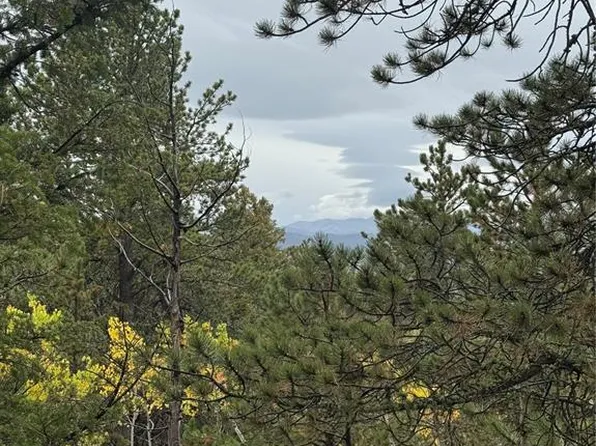 7935 County Road 51, Divide, CO 80814