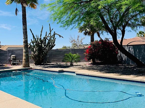 pool and desert landscaping