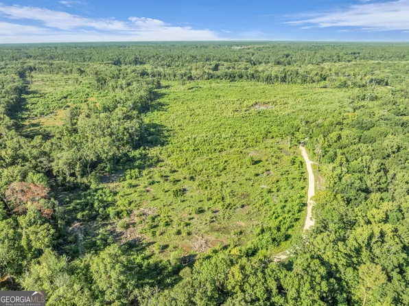 0 Brook Rd, Jesup, GA 31545