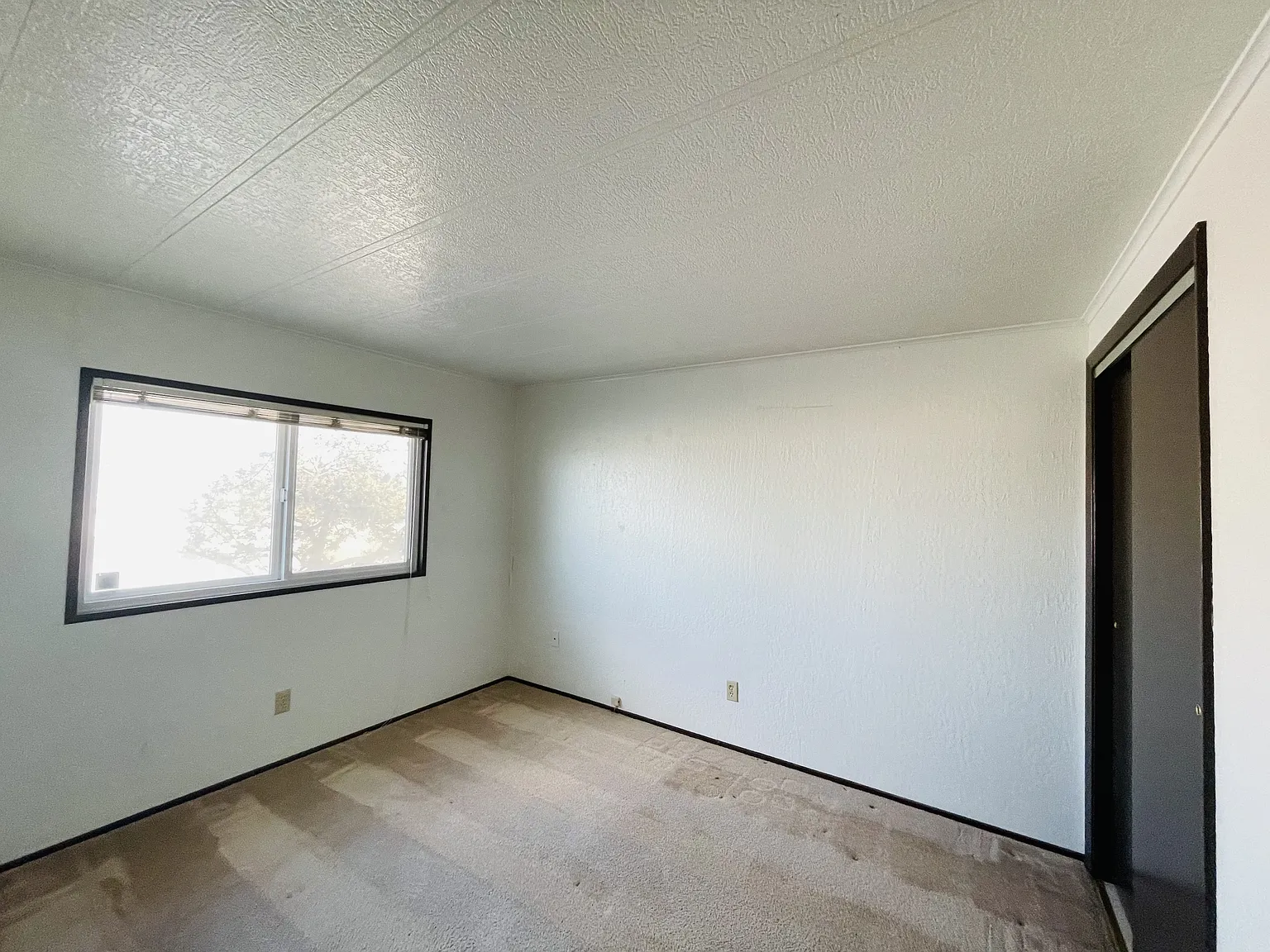 852 Dodge Lane - 1 — Photo 4