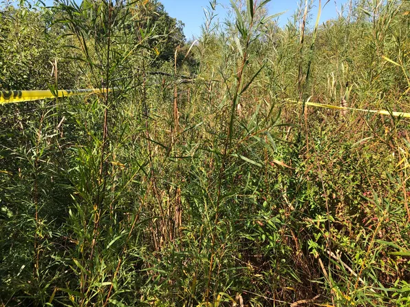 14 Alexandra Dr #17, Libertyville, IL 60048