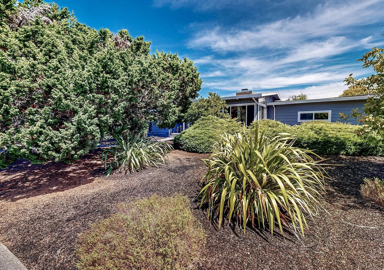 Gorgeous Three Bedroom Two Bath Bennett Valley Single Story Home — Photo 2