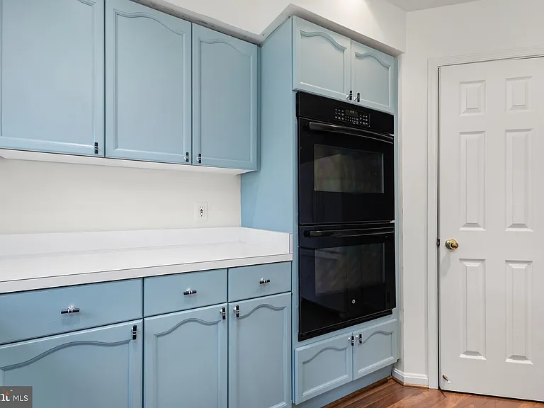 18506 Carriage Walk Cir — Photo 15