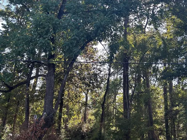 151617 Chain Rd, Livingston, TX 77351