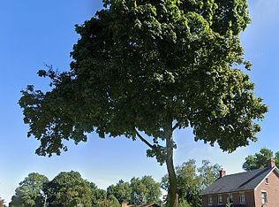 425 N Alfred St, Elgin, IL 60123