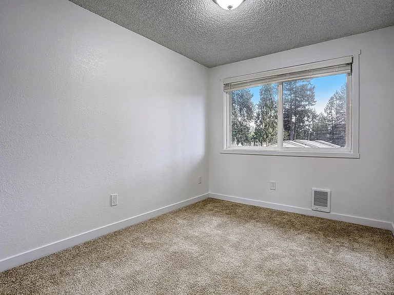 Tall Tree Manor — Photo 28