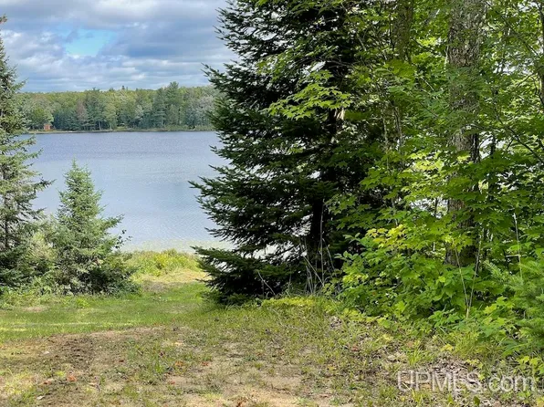 47-13-S6 Carpenter Lake Rd, Seney, MI 49883