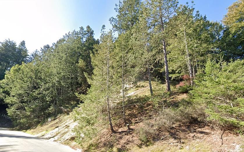 1st image of 210 Blueberry Dr