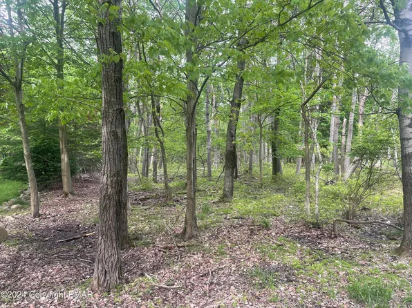 4007 Cedar Dr, Long Pond, PA 18334