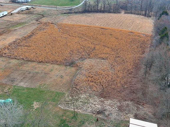 5th image of 7834 Highway 401