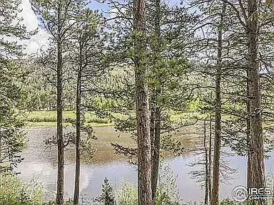 21 Meadow Lake Dr — Photo 27