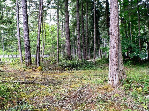 3rd image of 18435 Blue Hills Loop SE