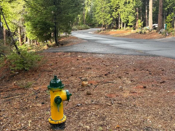 4617 Blackfoot Cir, Camp Connell, CA 95223