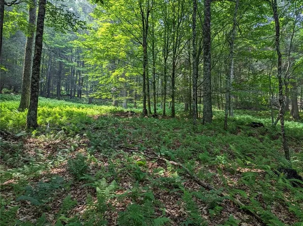 Duener Hill Road, Callicoon, NY 12723