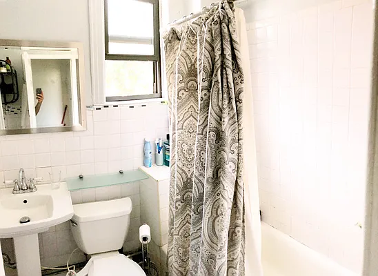 Rented by Rapid Realty Cobble Hill | media 71