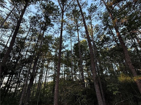 5th image of 0 Bee Tree Ln