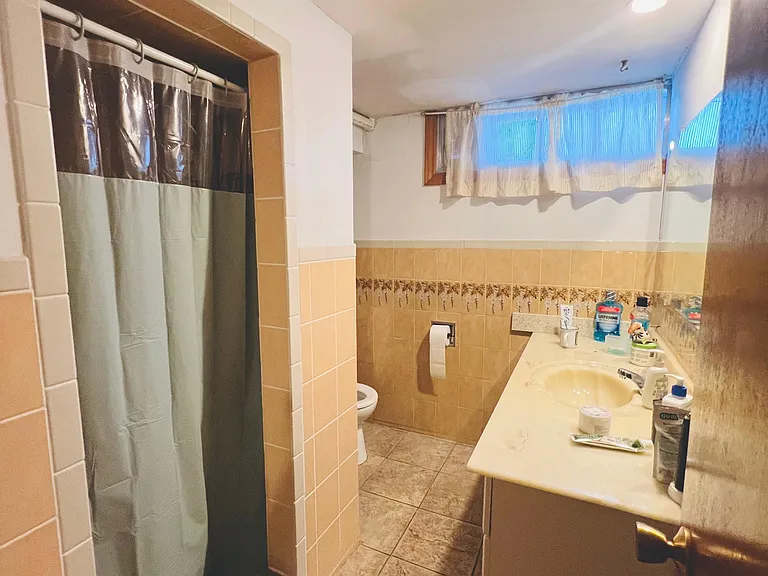 213 Beechy Dr #BASEMENT — Photo 6