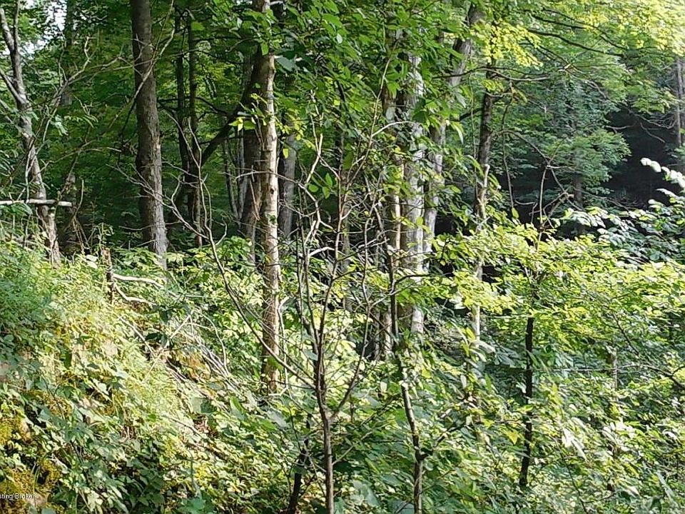 Vacation or Farm Land