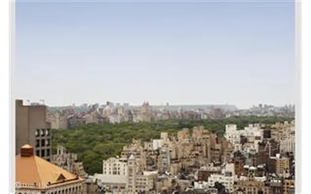 Rented by Douglas Elliman | media 19