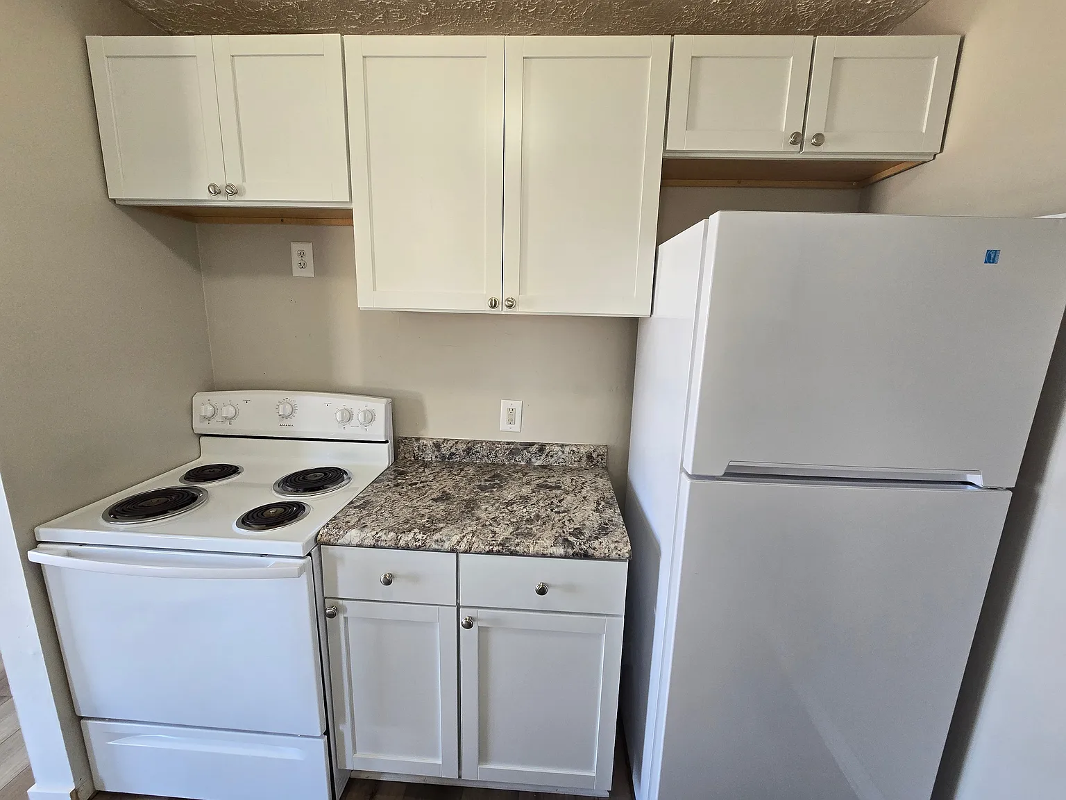 2 bed, 1.0 bath, 750 sqft, $800 — Photo 3