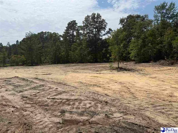 2 Patrick Hwy, Hartsville, SC 29550