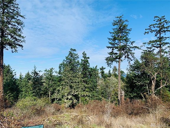 4th image of 642 Evergreen Ln