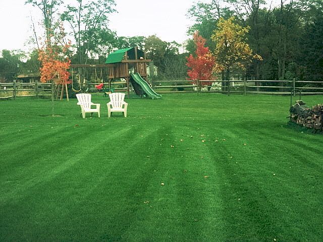 Wonderfully landscaped yard with playscape
