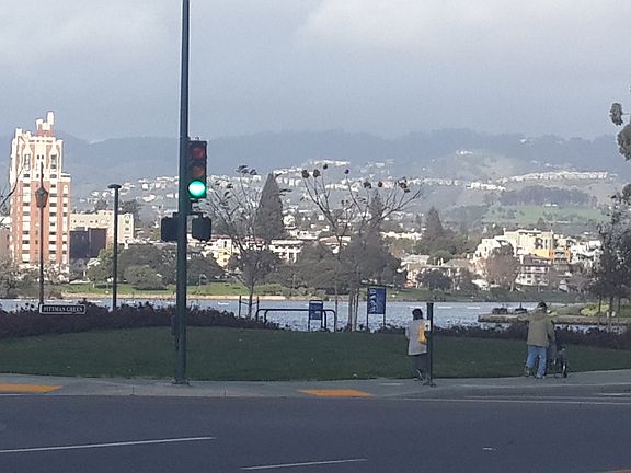 The Lake just out the front door