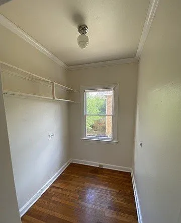 245-247 E Lullwood Ave #REAR — Photo 13