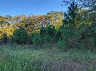 0 Chalybeate Rd, Manchester, GA 31816