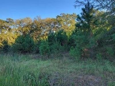 0 Chalybeate Rd, Manchester, GA, 31816