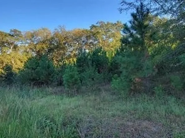 0 Chalybeate Rd, Manchester, GA 31816